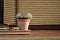 Тротуарная клинкерная брусчатка Penter Baltic Klinker Pavers Nuance, 250*60*65 мм
